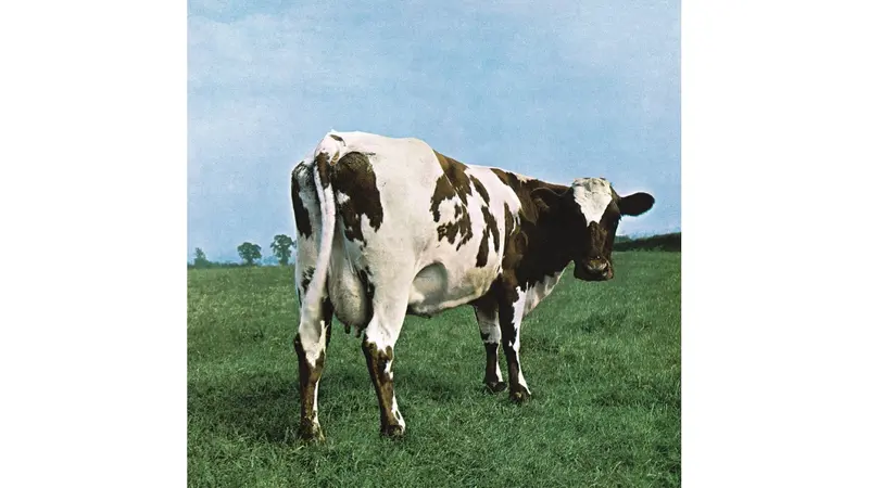 La celebre cover di Atom heart mother dei Pink Floyd