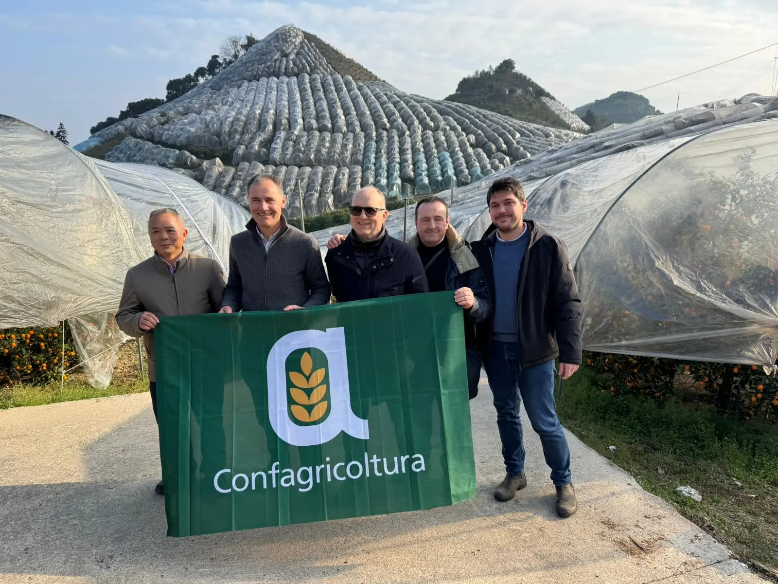 A Yangshuo le coltivazioni di kumquat