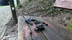 Palloncini ritrovati a Poncarale - Foto Gabriele Strada/Neg © www.giornaledibrescia.it