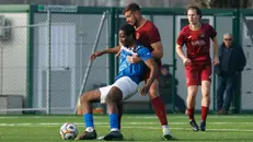 Prima categoria, uno scatto di Gambara-Sirmione Rovizza - Foto New Reporter Bombana © www.giornaledibrescia.it