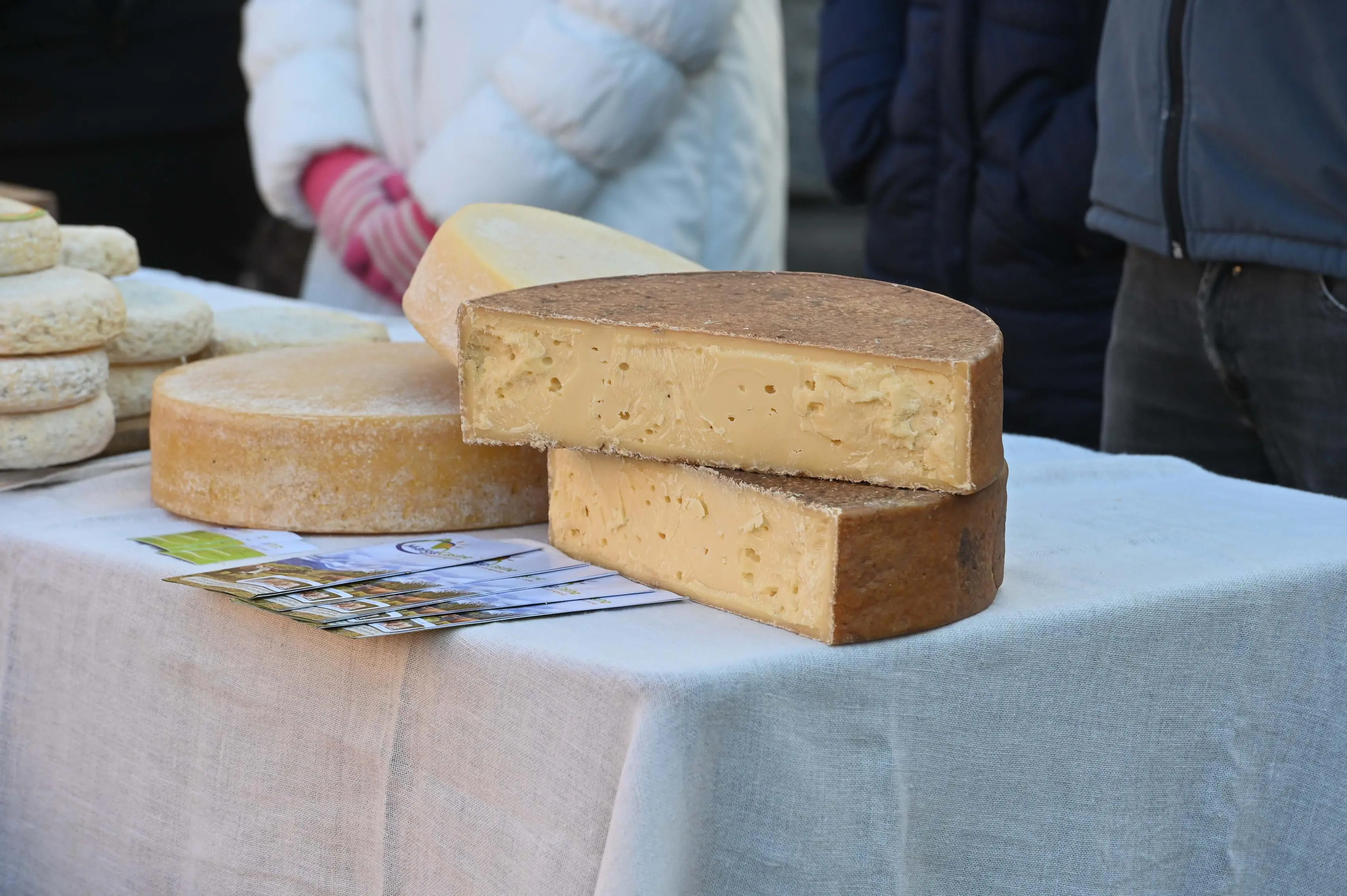 PERTICA BASSA IN PIAZZA CON NOI  REDAZIONE PROVINCIA 01-02-2026 GABRIELE STRADA NEW EDEN GROUP 