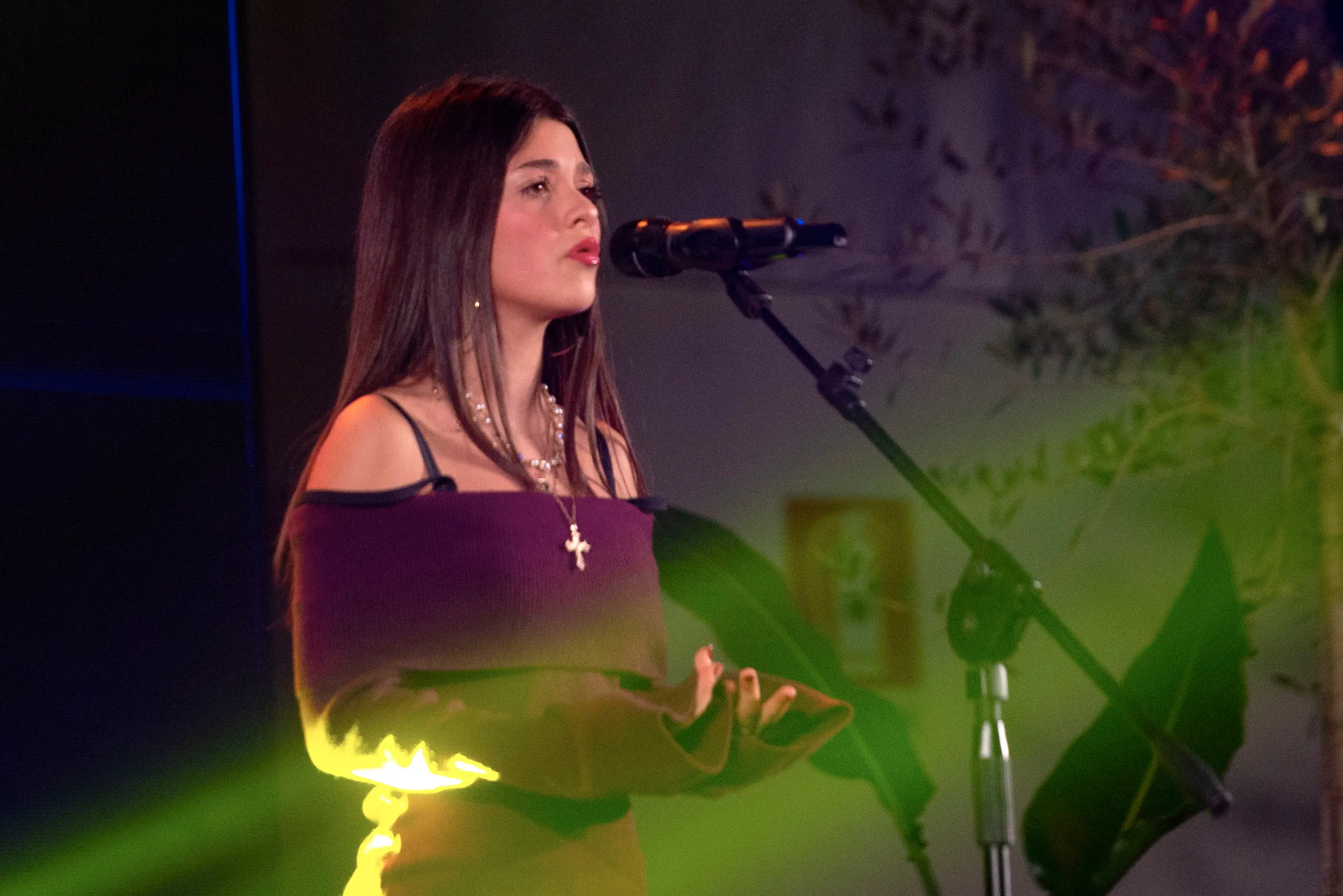 Il Festival di Concesio