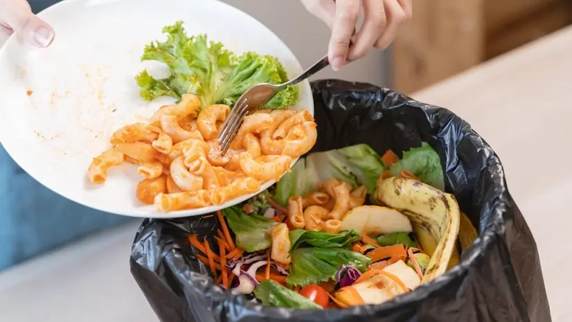 Cibo buttato nella spazzatura
