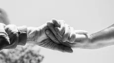 Prendersi cura - © www.giornaledibrescia.it