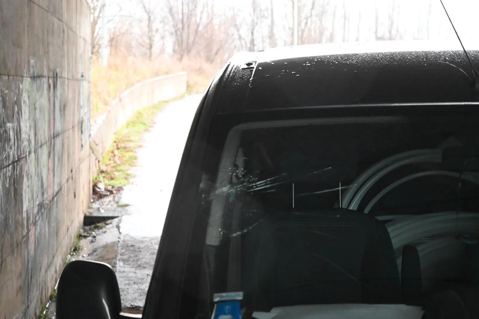 Investita una donna a Rezzato