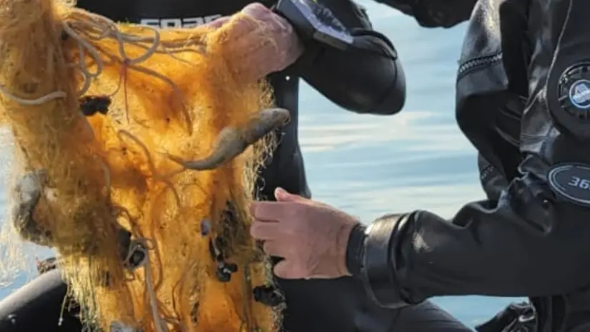 Le reti fantasma - © www.giornaledibrescia.it