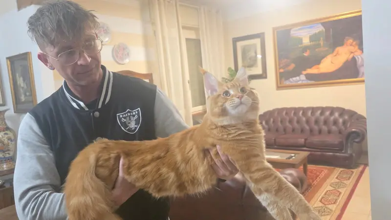 Abarth nel salotto di casa - © www.giornaledibrescia.it