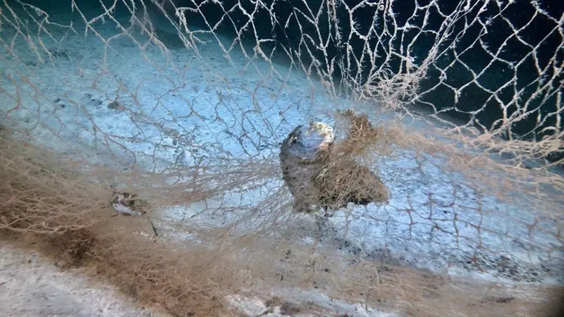 Reti fantasma - © www.giornaledibrescia.it