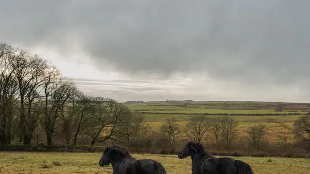 I paesaggi dello Yorkshire