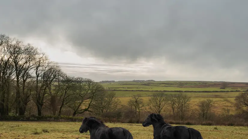 I paesaggi dello Yorkshire