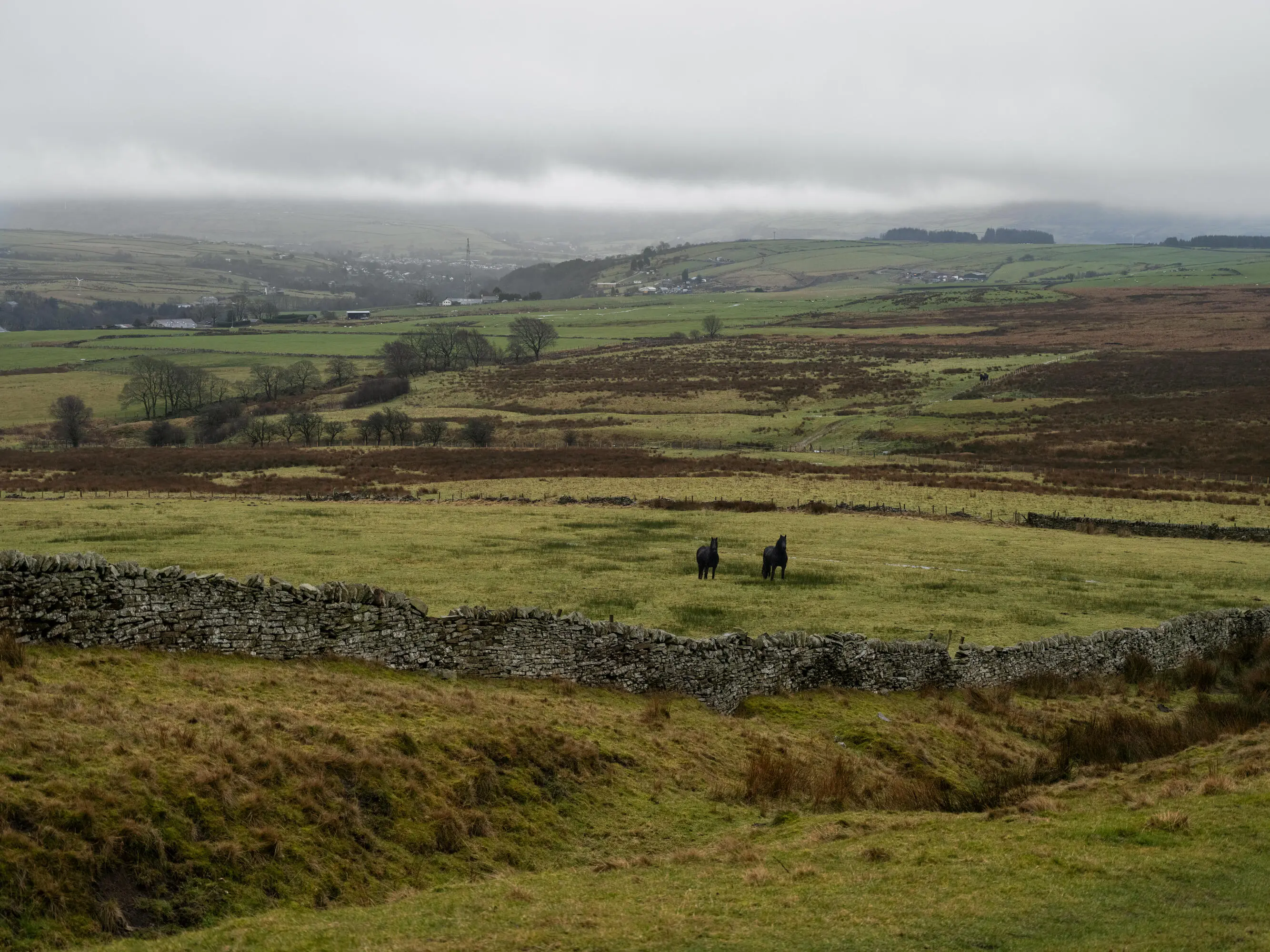 I paesaggi dello Yorkshire
