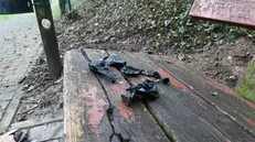 Palloncini ritrovati su una panchina - © www.giornaledibrescia.it