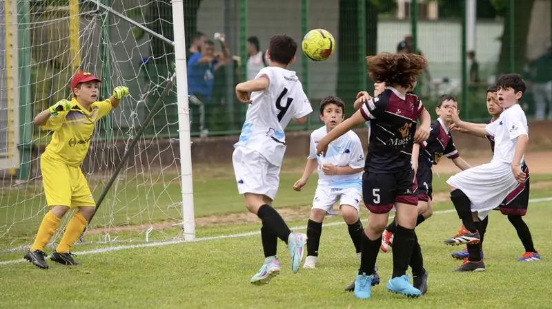I Giovanissimi U15 provinciali sono pronti a giocare - Foto New Reporter Papetti © www.giornaledibrescia.it