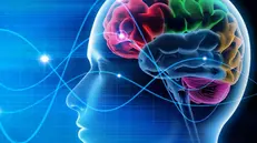 Lunedì 9 febbraio è la Giornata internazionale dell'epilessia