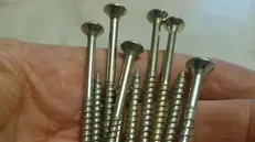 Tornano le viti sparse sulle strade - Foto tratta da Fb