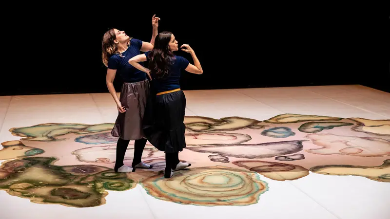 La performance di Ajmone