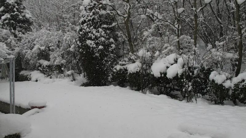 Un giardino imbiancato, a Mompiano, durante la nevicata del 10 marzo 2010 - © www.giornaledibrescia.it