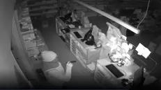 Furto in farmacia a Ospitaletto