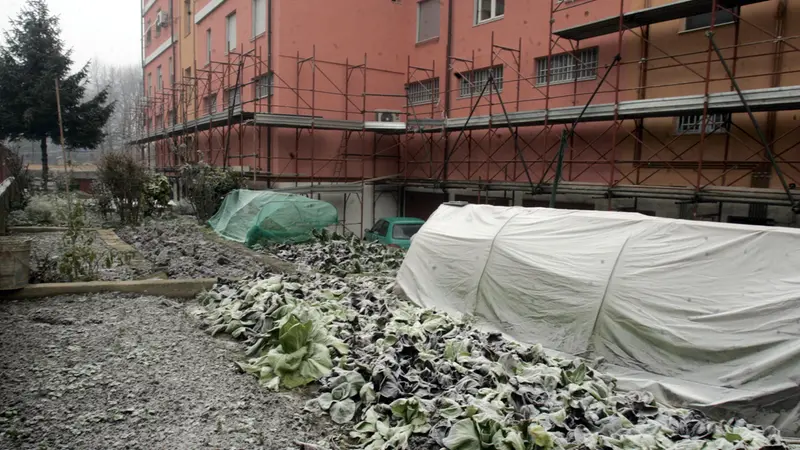 Alcuni degli orti coltivati a Chiesanuova © www.giornaledibrescia.it