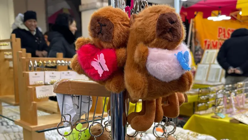 I capibara sono i nuovi unicorni - © www.giornaledibrescia.it