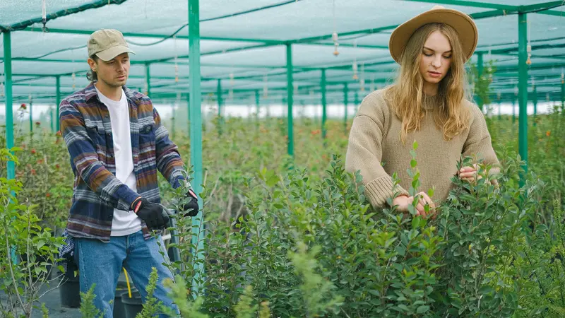 Giovani impegnati in lavori agricoli - © www.giornaledibrescia.it