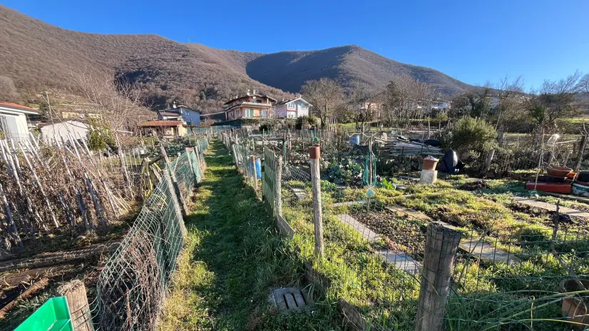 Gli orti comunali di Bovezzo - © www.giornaledibrescia.it