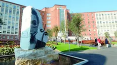 L'ospedale Civile tra i nove centri regionali di riferimento per l'alta complessità del tumore all'ovaio