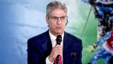 Paolo Petrecca - Foto Ansa © www.giornaledibrescia.it