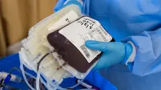 Una sacca di sangue - © www.giornaledibrescia.it