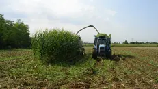 Mezzi agricoli in azione