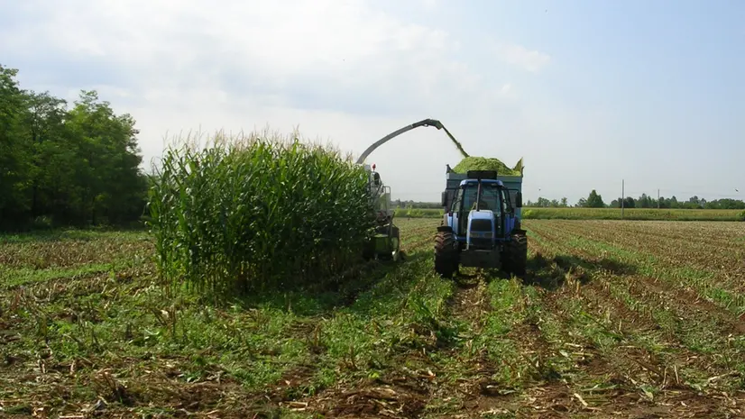Mezzi agricoli in azione