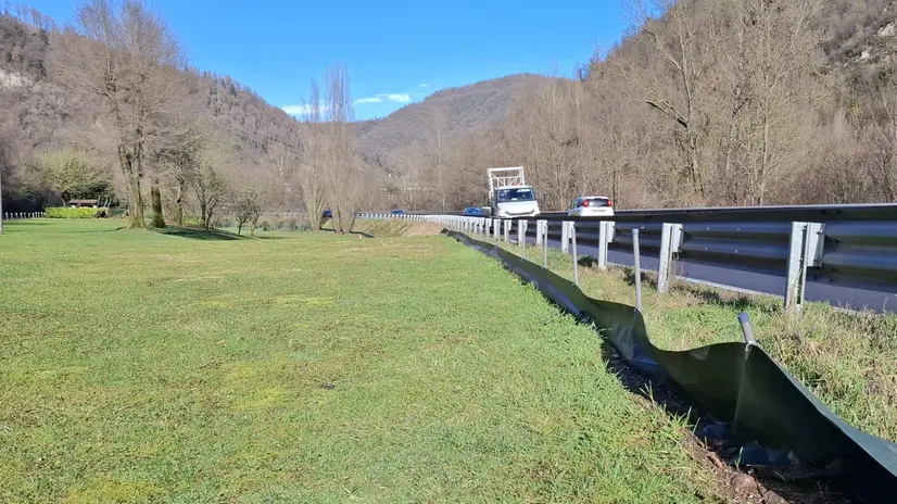 Le recinzioni sulla Sp58 per il salvataggio dei rospi - © www.giornaledibrescia.it