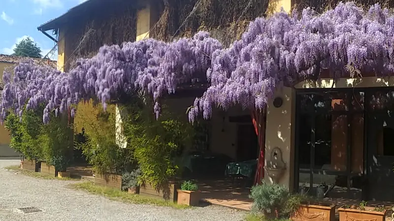 L'antica trattoria sovrastata dal glicine - © www.giornaledibrescia.it