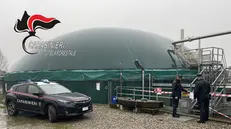 L'operazione dei Carabinieri Forestali