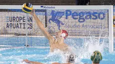 Decisivo il portiere Baggi Necchi - Foto New Reporter Papetti © www.giornaledibrescia.it