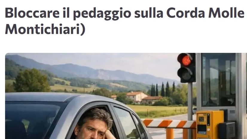 La petizione pubblicata di Change.org