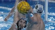 Uno scatto di Bologna-Brescia - Foto Gabriele Vanoni