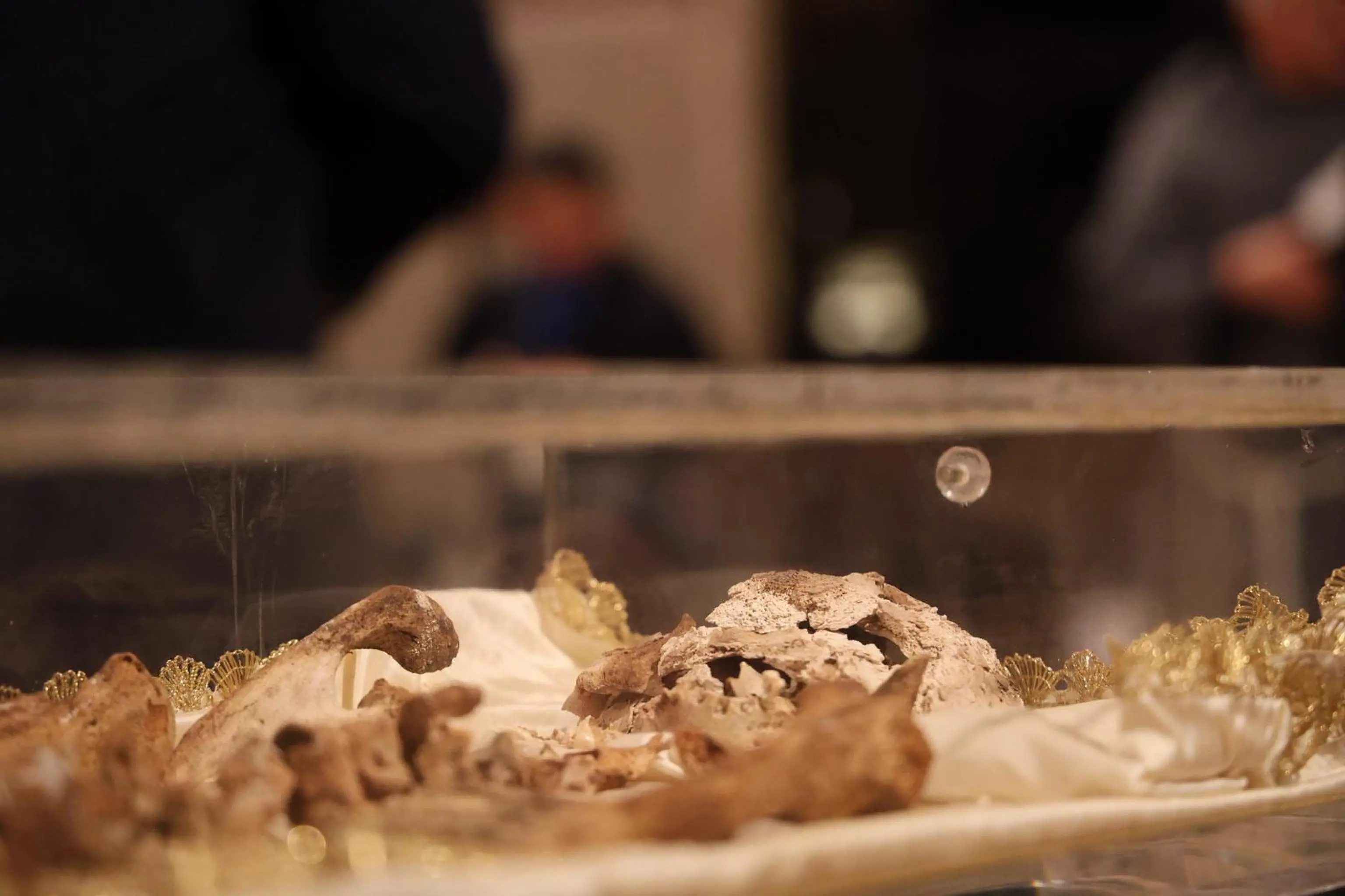 Ad Assisi la prima ostensione delle spoglie di san Francesco