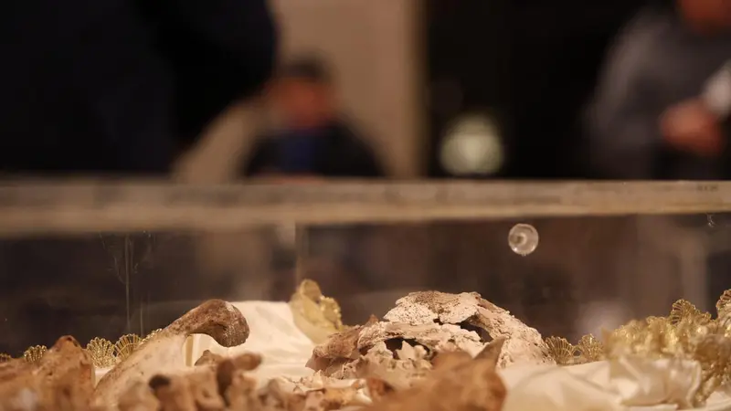 Ad Assisi la prima ostensione delle spoglie di san Francesco