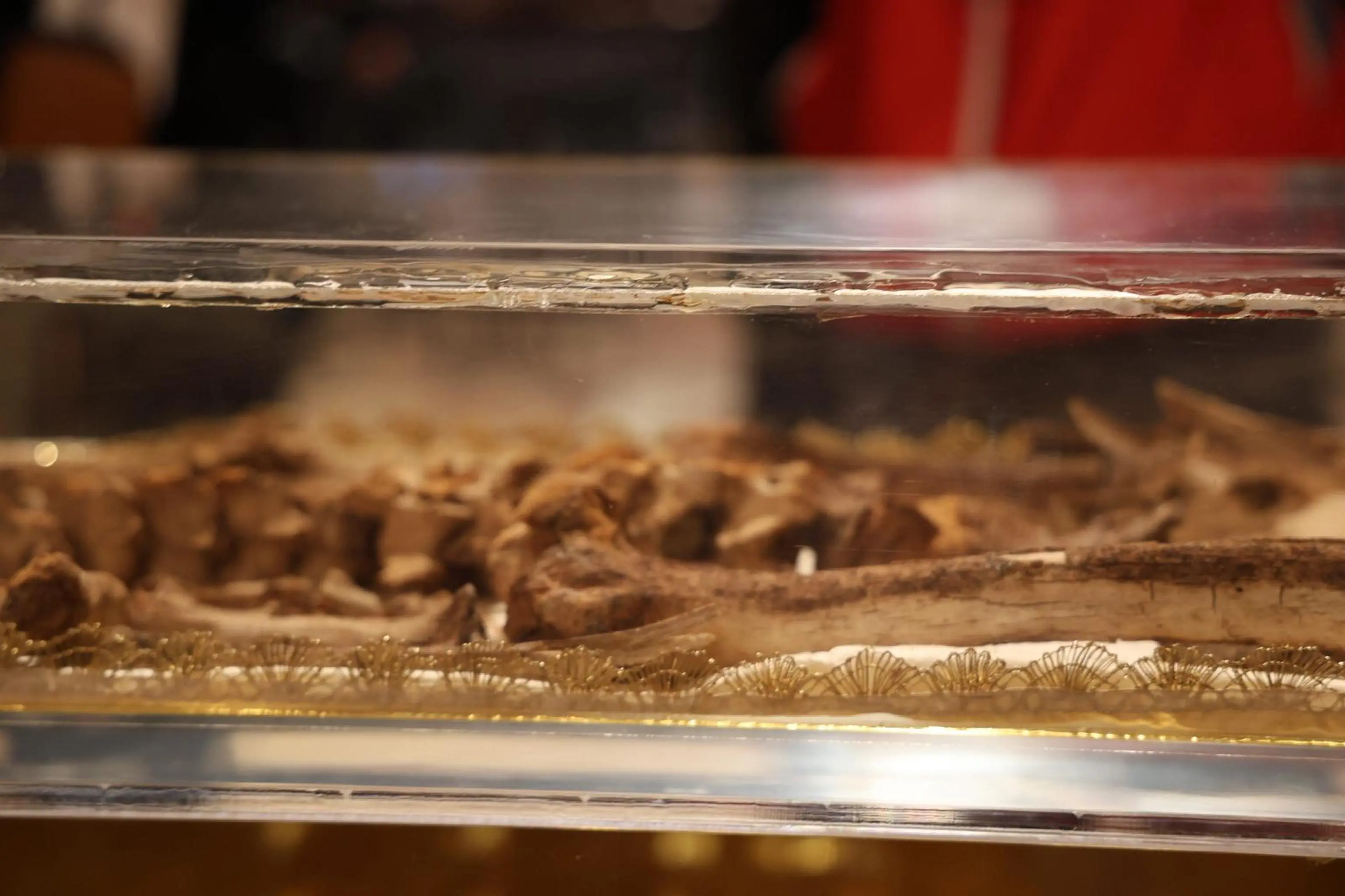 Ad Assisi la prima ostensione delle spoglie di san Francesco