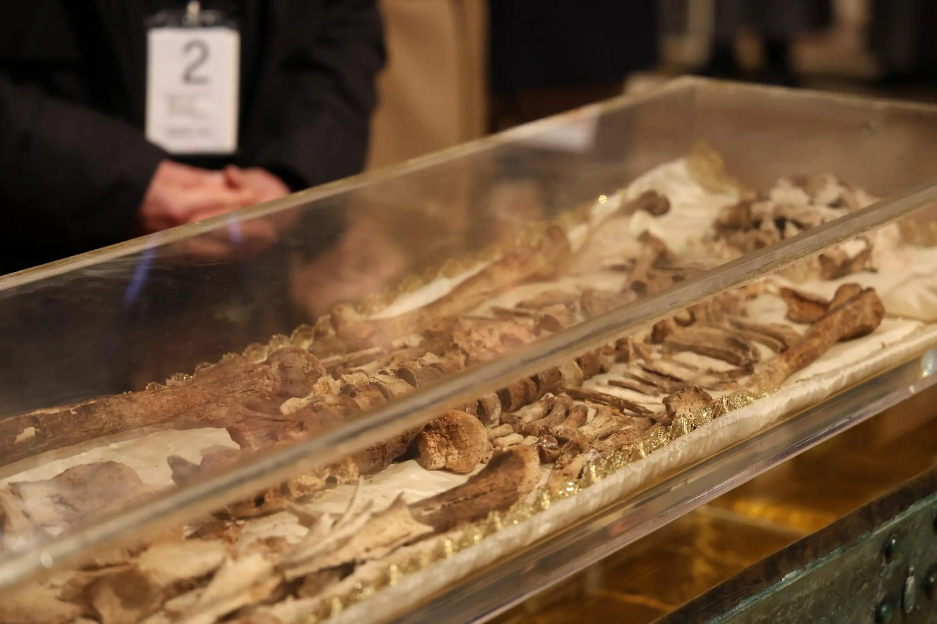 Ad Assisi la prima ostensione delle spoglie di san Francesco