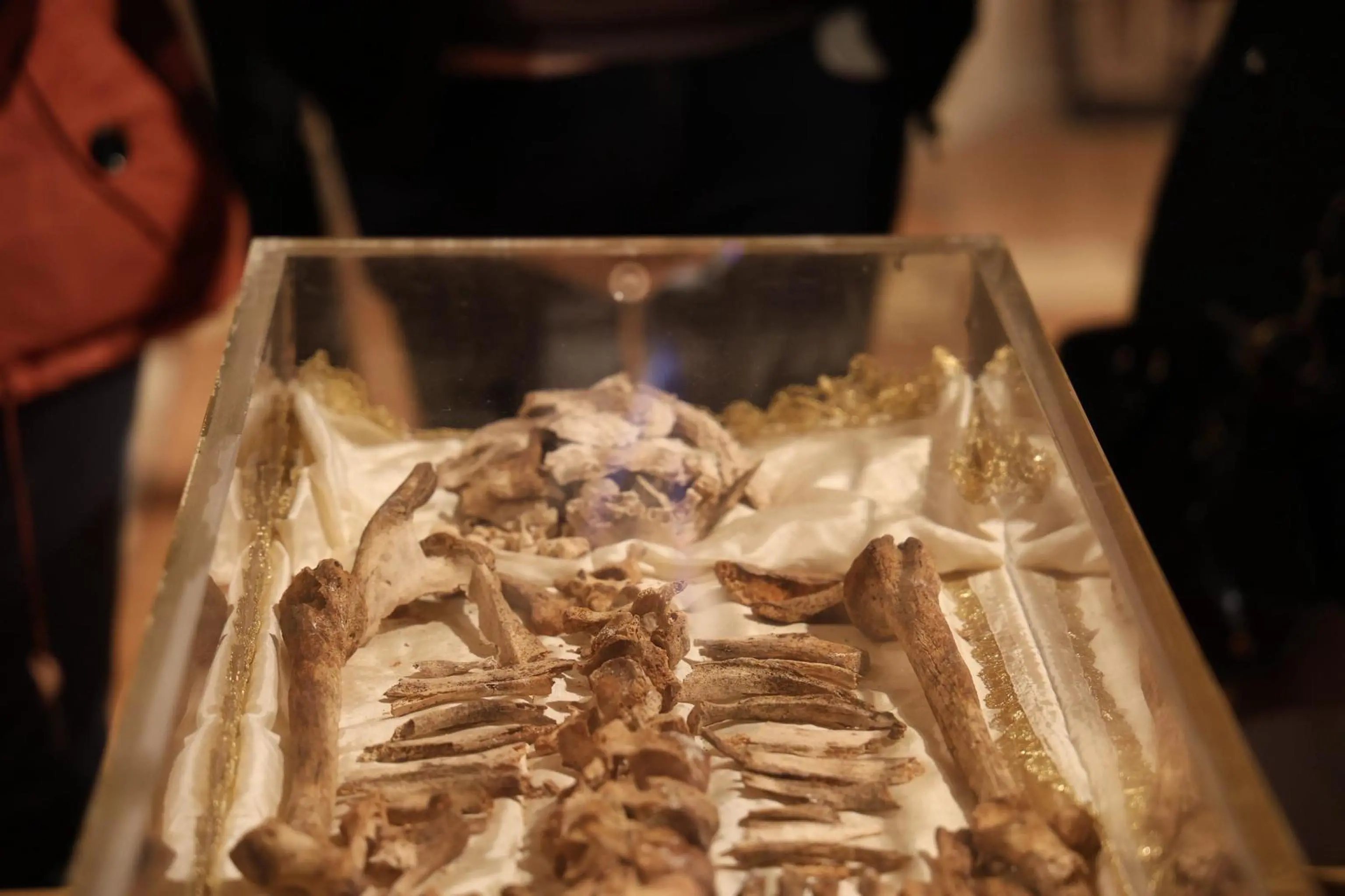 Ad Assisi la prima ostensione delle spoglie di san Francesco