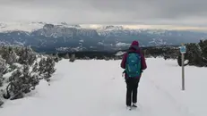 L’altopiano si distende sopra Bolzano tra il torrente Talvera e il fiume Isarco, che scende dal Brennero
