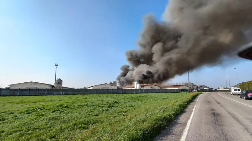La densa colonna di fumo che sale dall'allevamento in fiamme a Isorella © www.giornaledibrescia.it