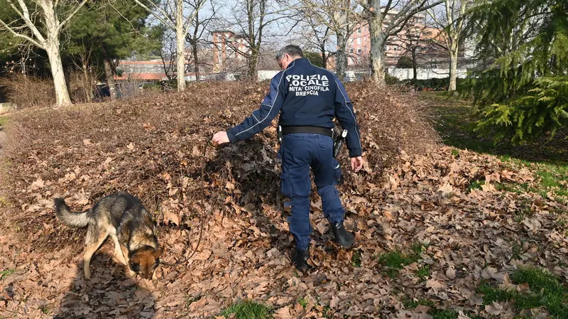 Unità cinofile della Polizia Locale nel giardino di una scuola