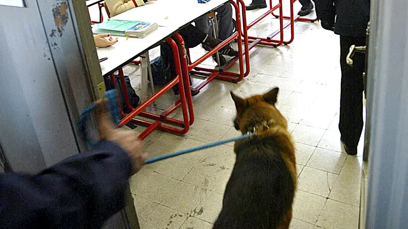 Controlli antidroga in classe © www.giornaledibrescia.it