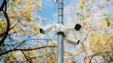 La decisione del Garante della privacy sul caso sollevato a Nave potrebbe mettere a rischio l'uso dei dispositivi