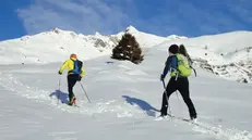 Attività di scialpinismo - © www.giornaledibrescia.it