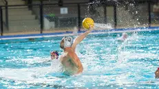 Guerrato in acqua - © www.giornaledibrescia.it