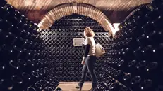 Molte le cantine che aprono le porte ai visitatori